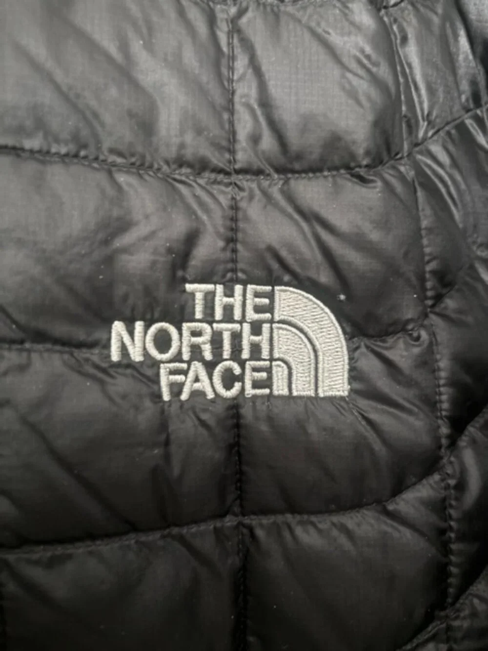 North Face Men’s Thermoball™ Hooded Jacket (Size:  XL)